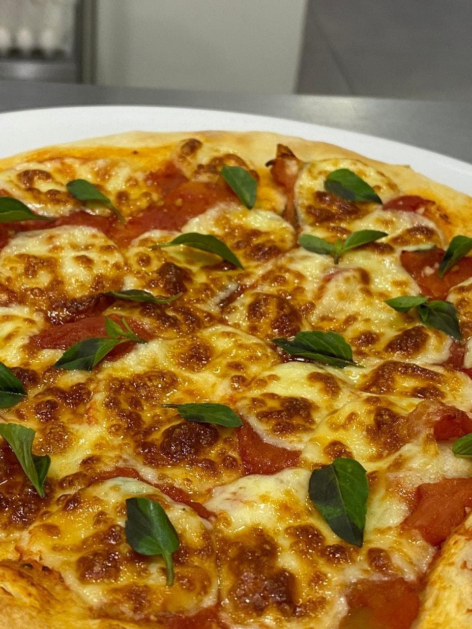 Pizza margherita com manjericão fresco, saída do forno