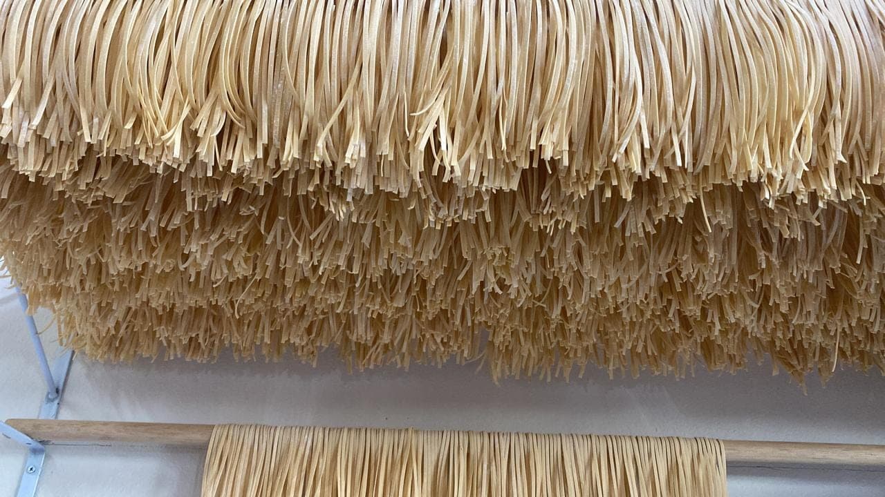 Tagliatelle fresco pendurado em varal, ainda polvilhado de farinha